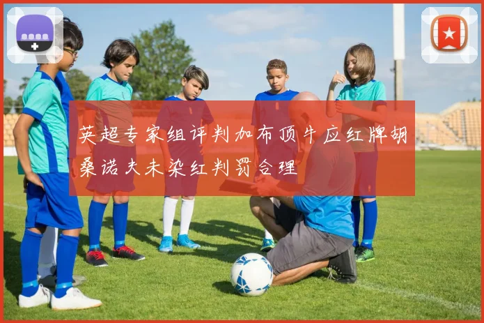 英超专家组评判加布顶牛应红牌胡桑诺夫未染红判罚合理