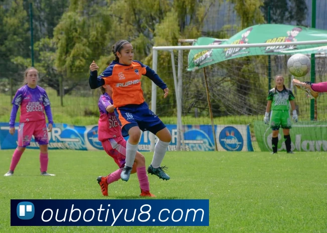 欧博体育平台生态图